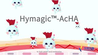 The amazing life scienceWhat is AcHA【Sodium Acetylated Hyaluronate】 Part 2 [upl. by Atem819]