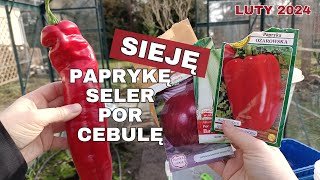 Co sieję w lutym  Siew papryki pora selera i cebuli  Siew warzyw na rozsadę [upl. by Edahc519]