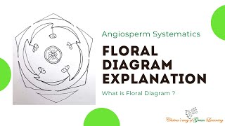 Floral Diagram explanation I What is floral diagram [upl. by Suoinuj]