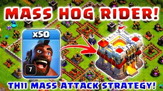 50 MASS HOG RIDER TH11 ATTACK STRATEGY [upl. by Eadie]