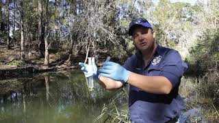 How intensive horticulture changes stream water quality [upl. by Kere113]