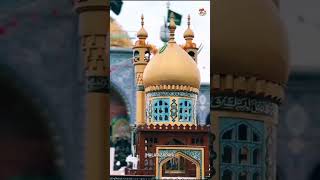 Ashura Karbala Mola Hala New viralvideo viral 10muharram2024 halanew [upl. by Beetner]