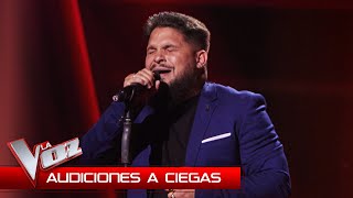 Salvador Rodríguez canta quotNuestros sueñosquot  Audiciones a Ciegas  La Voz Antena 3 2024 [upl. by Kcirderf]