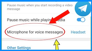 Telegram Voice Message Not Working [upl. by Elttil739]