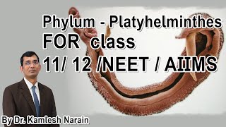 Phylum  Platyhelminthes  Flatworm FOR class 11 12 NEET  AIIMS By DR KAMLESH NARAIN [upl. by Coward]