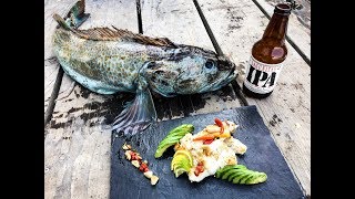 Catch and cook my first LINGCOD [upl. by Simetra]