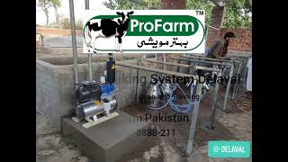 Best Milking Machine DeLaval BMS4 Bucket Milking System  ProFarm Pakistan Pvt Ltd [upl. by Hadlee]