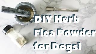 DIY AllNatural Flea Powder for Dogs [upl. by Llehsad]