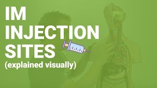 HOW TO GIVE IM INJECTIONS  sites considerations nursing care for nurses [upl. by Notniv700]