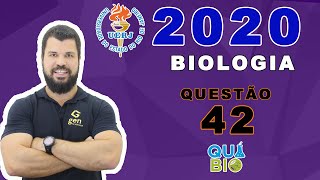 UERJ 2020  2o EQ  Questão 42  No chamado doping sanguíneo atletas retiram determinado volume de [upl. by Landry23]