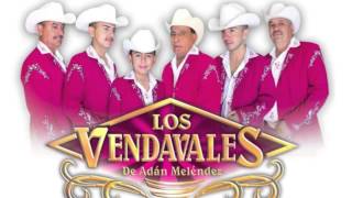 Los Vendavalez De Adan Cumbias El Cafetal Carmelita [upl. by Copp552]