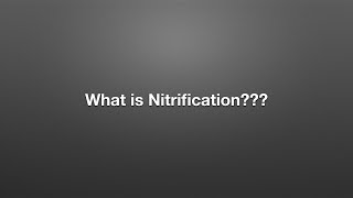 What is Nitrification [upl. by Aronoff25]