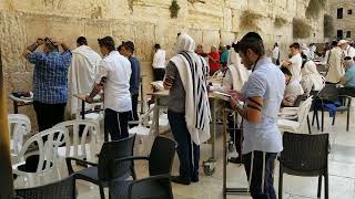 Davening at the Western Wall [upl. by Karlan]