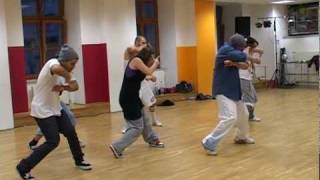 SaE Workshop Tour 2010 in Dance Vision mit Ken Memo und Lil Rock [upl. by Neona]