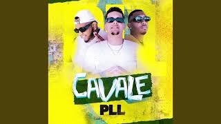 PLL  CAVALE REMIX [upl. by Narcis]