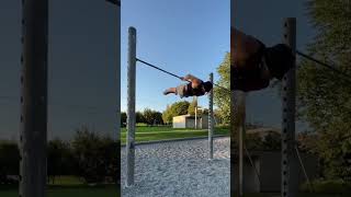 HEFESTO STYLE calisthenics motivation streetworkout insane planchebicepsworkout [upl. by Pasahow513]