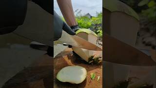 soft coconut peeling cutting skill coconut youtubeshorts [upl. by Anaes800]