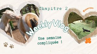 Nausicaa mappelle et Hacienda se blesse  2 WEEKLY VLOG S2 [upl. by Nilecoj375]