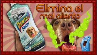 La solución para el mal aliento canino enjuague bucal para perros [upl. by Loux]