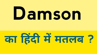 Damson meaning in hindi  Damson ka matlab kya hota hai [upl. by Zacherie132]