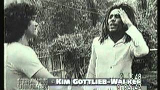 Who Killed Bob Marley Documentary  Strange Universe Documentary [upl. by Garcon140]