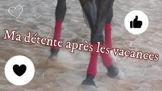 🍏 Ma détente de dressage à cheval après 3 semaines de vacances🐎 [upl. by Rezzani]