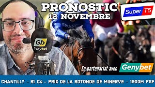 🔴 Pronostic Quinté  Super Top5 Mardi 12 Novembre 2024 Chantilly 🔴 Prix de la Rotonde de Minerve [upl. by Ydnas448]