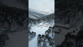 Sant Joan de l’Erm ❄️ PNAltPirineu [upl. by Sudhir]