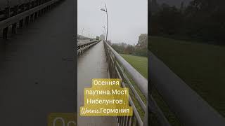 Осенняя паутина Мост Нибелунгов Worms Германия [upl. by Kalam840]