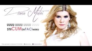 Diana Matei  Cascade  Official Audio Lyrics [upl. by Fanchie425]