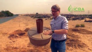 Cocoon planting technology in UAE [upl. by Garihc]