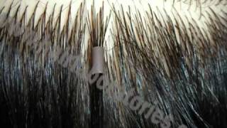 SHRINKIES hair extension HOW TO [upl. by Joete]