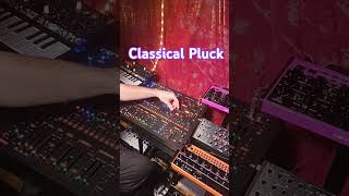 Classical 2600 Behringer Improvisation [upl. by Eintrok]