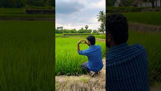 Agriculture trending vivasayam 2024 villagelife viralreels [upl. by Nauhs]