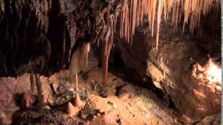 Stalagmites and stalactites [upl. by Shaya]