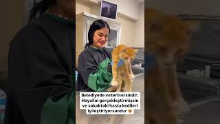 Sevginin iyileştirici gücü 😻catvideos cat kedisesi kedi 🎥suzankkorkmaz [upl. by Gareri840]