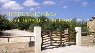 Spanien  Insel Mallorca  Naturpark s’Albufera [upl. by Waynant]