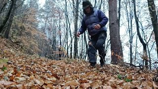 Chaga ciuperca care vindecă cancerul Aurul negru 🤯 [upl. by Jasmine]