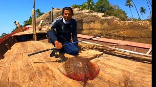 stingrayfishing  Stingray Fishing  fishing for stingrays stingrayfishing [upl. by Lourie]