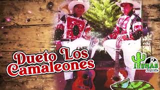 Dueto Los Camaleones  20 Canciones y Corridos Album Completo [upl. by Eatnoj]