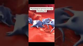 Hemostasis part 1 sciencefacts biology [upl. by Akcirderf]