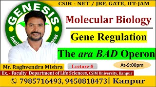 Arabinose Operon  Gene Regulation Lecture8  CSIR NETJRF  Life science [upl. by Maynord]