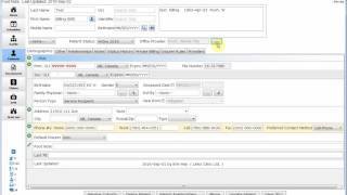 Accuro Basic Patient Demograpics [upl. by Imelida]