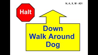 ANKC 2021 Rally Sign 31 Halt  Down  Walk Around Dog Novice [upl. by Anirat]