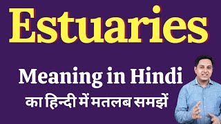 Estuaries meaning in Hindi  Estuaries ka kya matlab hota hai  Spoken English Class [upl. by Nylirem925]