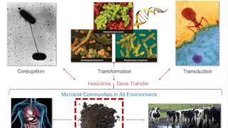 Metagenomics Microbiomes and ModelsOh My [upl. by Ermina]