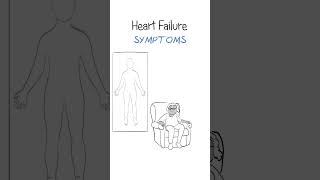 Heart failure symptoms EXPLAINED shorts healthsketch heart [upl. by Aisenat]