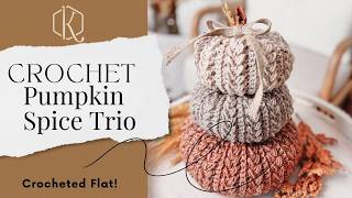 Crochet Pumpkin Spice Trio Pattern [upl. by Ielerol]