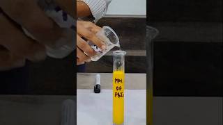 Lead iodide precipitate formation [upl. by Markson680]