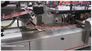 Cookies Horizontal Flow Wrapping System  Packaging Machinery [upl. by Armitage]